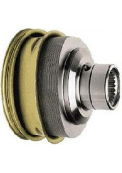 Aks Lalesi Üçgen Tip R19 12