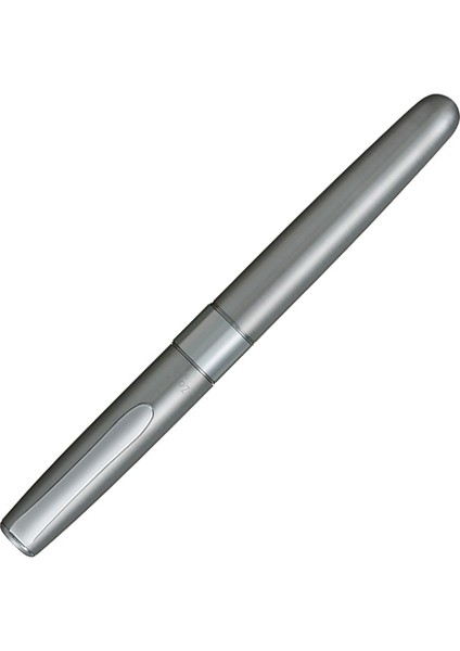 : Zoom 505 Meta : Roller Uçlu Kalem : 0,5 mm : Kırçıllı Gümüş (Karton Kutulu)