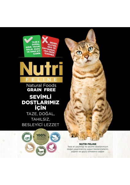 Feline Yetişkin Somon Etli Adult Urinary Kedi Maması 10 kg