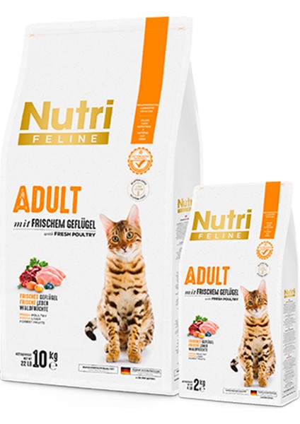 Yetişkin Tavuk Etli Adult Kedi Maması 10 kg