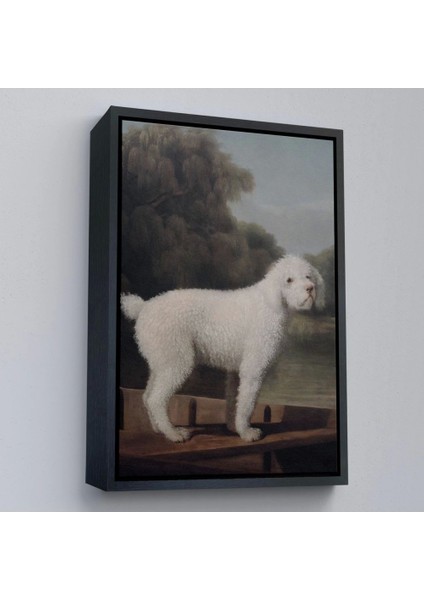 Çerçeveli George Stubbs Beyaz Kaniş TABLO-8034