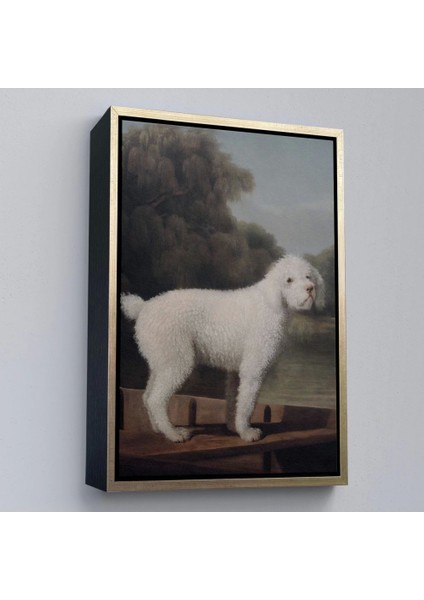 Çerçeveli George Stubbs Beyaz Kaniş TABLO-8034 modelleri