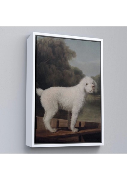 Çerçeveli George Stubbs Beyaz Kaniş TABLO-8034 fırsatları