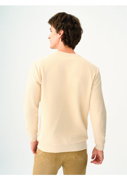 Regular Fit Erkek Sweatshirt