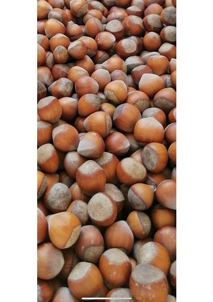 Fındık Kabuklu 1 kg modelleri