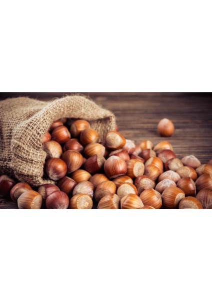 Fındık Kabuklu 1 kg fiyatları