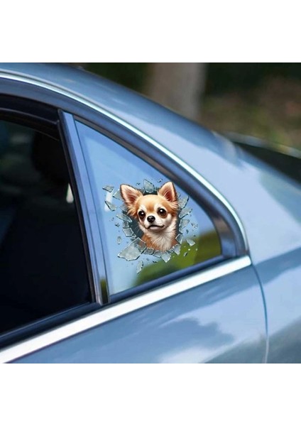 Australian Shepherd Araç Stickerı