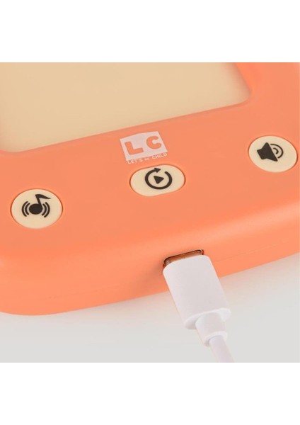 Nessiworld LC-31050ÖĞRETICITÜRKÇE-İNGILIZCEKONUŞANFLASHKARTLAR-LET'SBECHILD