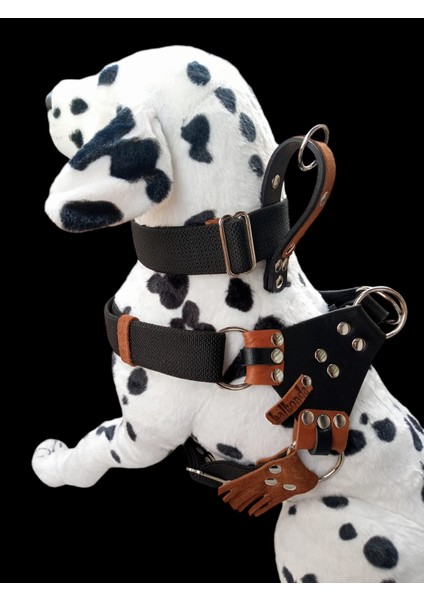 Köpek Göğüs tasması boyun tasmalı set büyük ırk siyah kalın kolon kalınlık:3mm genişlik:3,5cm göğüs ölçüsü:60-100 boyun ölçüsü:30-60cm dog harness TB5-21