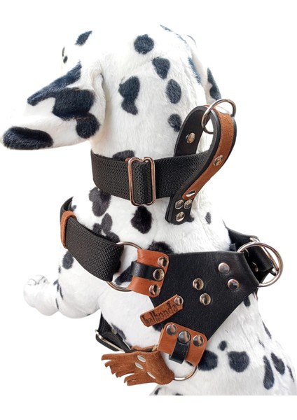 Köpek Göğüs tasması boyun tasmalı set büyük ırk siyah kalın kolon kalınlık:3mm genişlik:3,5cm göğüs ölçüsü:60-100 boyun ölçüsü:30-60cm dog harness TB5-21