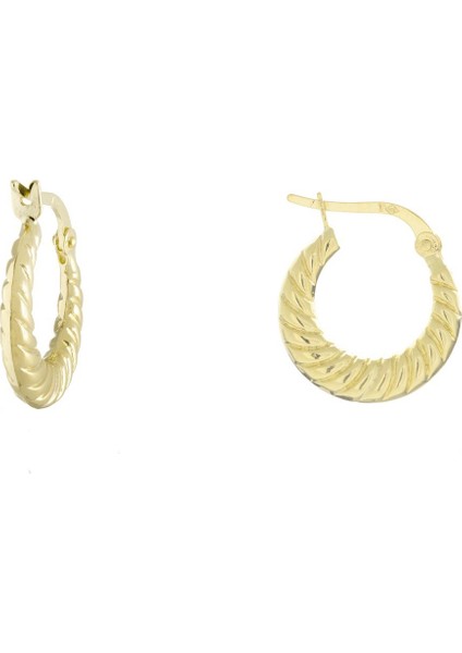 Küçük İstiridye Model Altın Küpe