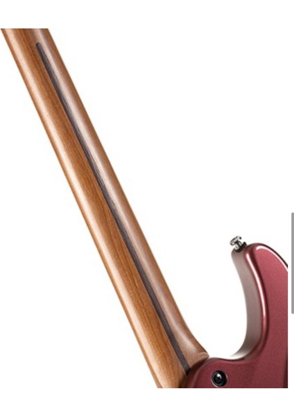 G250SEWB Elektro Gitar Bordo indirimleri