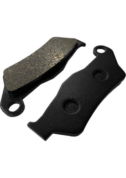 Bajaj Pulsar Ns 200 Ön Fren Disk Balatası Gold