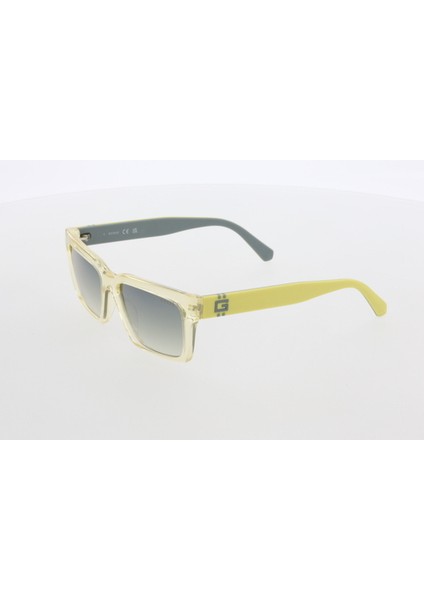 Güneş Gözlüğü (Kadın) 00121 39C 56-17-145