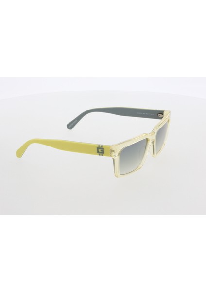 Güneş Gözlüğü (Kadın) 00121 39C 56-17-145 modelleri