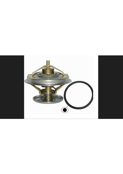 Termostat 75 C Mercedes M116 M117 W116 W126 R107 C107 12