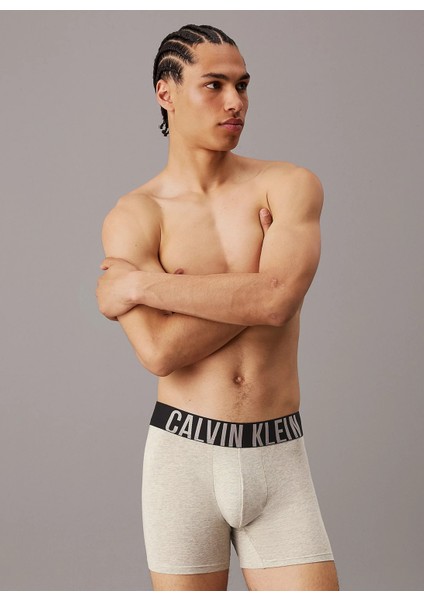 Boxer