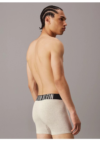Boxer