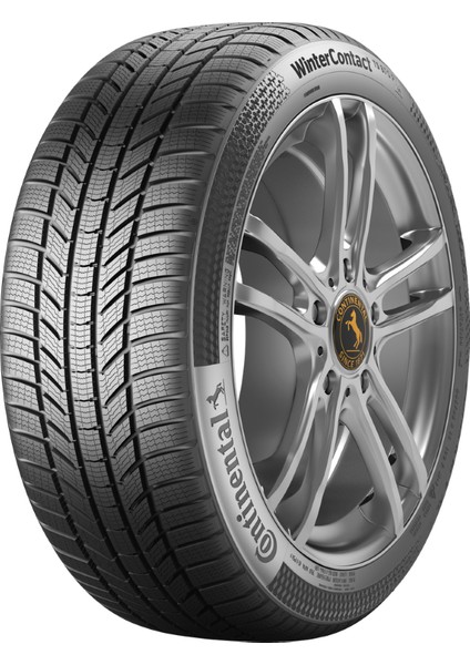 255/40 R20 101V Xl Fr Wintercontact Ts 870 P Oto Kış Lastiği (Üretim Yılı: 2024)
