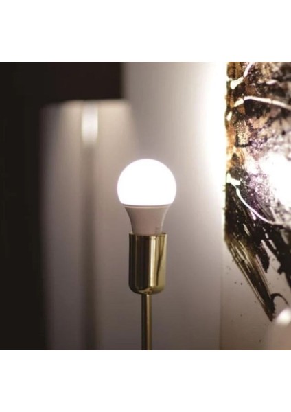 9W Beyaz Işık LED Ampul CT-4277