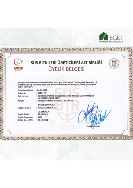 Kalp Kalbe Karşı Çiçeği (Ceropegia Woodii) - Kırmızı Saksılı modelleri