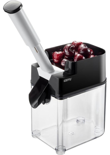 Hazneli Çekirdek Ayıklayıcı