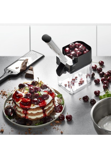 Hazneli Çekirdek Ayıklayıcı fiyatları