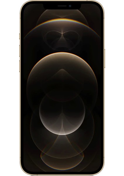 Yenilenmiş iPhone 12 Pro 128 GB Altın Cep Telefonu (12 Ay Garantili) - B Grade fiyatları