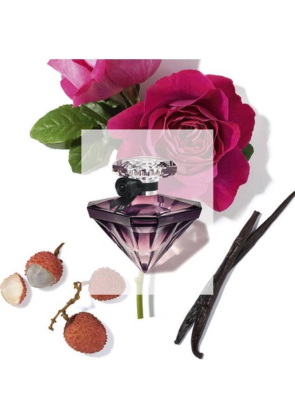 La Nuit Tresor Edp 50 Ml Kadın Parfüm