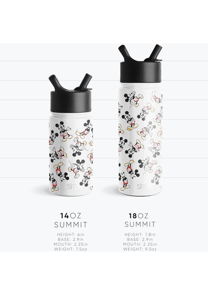 Çocuklar Için Hasır Kapaklı Su Şişesi Yeniden Kullanılabilir Yalıtımlı Paslanmaz Çelik Bardak Kızlar Için, Okul 14 Oz Gökkuşağı Prenses (Yurt Dışından) fırsatları