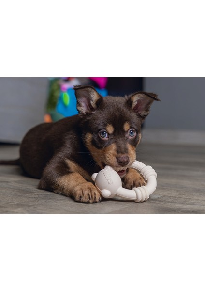 Sumo Mını Dental Oyuncak Pembe 9,5X10,5 cm fiyatları