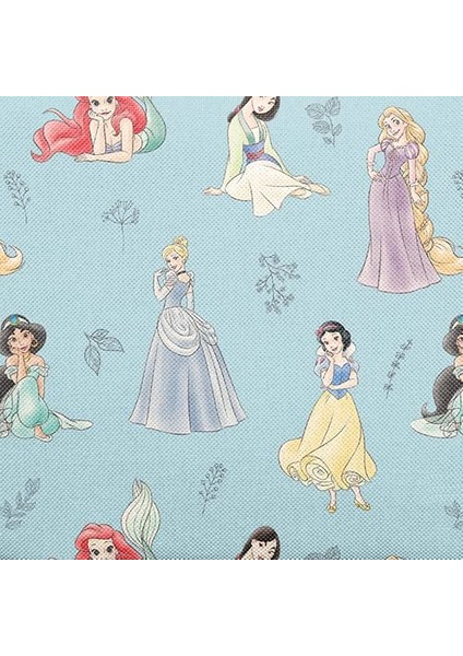 Çocuklar Için Hasır Kapaklı Su Şişesi Yeniden Kullanılabilir Yalıtımlı Paslanmaz Çelik Bardak Kızlar Için, Okul 14 Oz Gökkuşağı Prenses (Yurt Dışından)