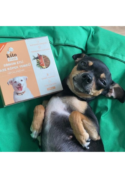 Fresh Somon Etli x 6 (1,5 Kg) - Tüm Köpek Irkları için Uygundur fırsatları