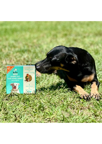 Fresh Levrek Etli x 6 (1,5 Kg) fiyatları