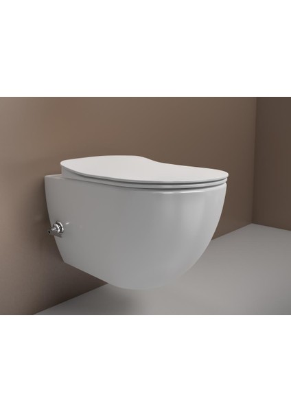 Rim-Off Asma Klozet Entegre Taharet Musluklu (Soğuk) modelleri