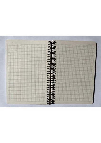 Tuval Serisi Kareli Defter, Spiralli, Sert Kapaklı (Ön Kapak Görseli; Meyve Sepeti ile Natürmort) 16 x 23 Cm, 100 Yaprak