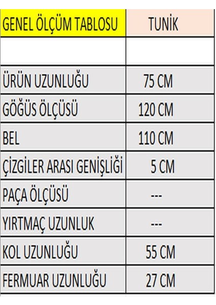 Kadın Giyim Yakası Dik Ve Önü Çizgili Fermuarlı Triko Tunik-Kazak