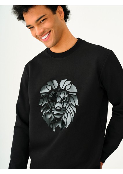 Regular Fit Erkek Sweatshirt fırsatları