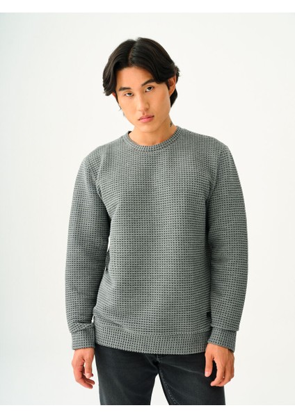 Regular Fit Erkek Sweatshirt