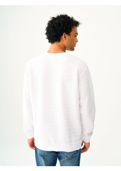 Regular Fit Erkek Sweatshirt