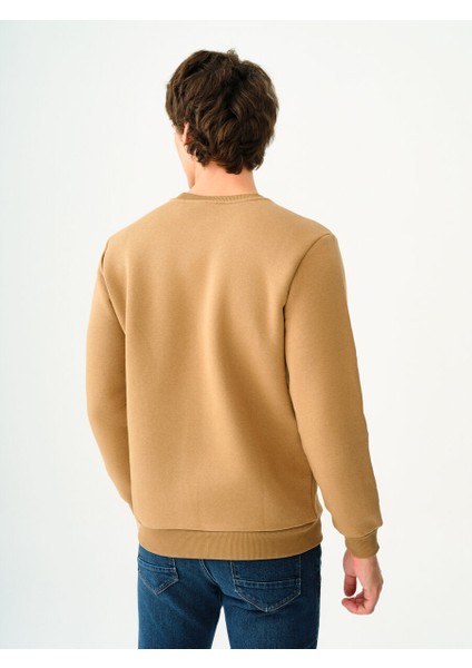 Regular Fit Erkek Sweatshirt