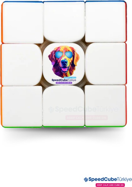 Cool Dog 3x3 Profesyonel Manyetik Mıknatıslı Rubik Küp Akıl Küpü Zeka Küpü Speedcube Eğitici