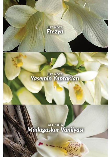 Far Away Vücut Losyonu 150Ml.