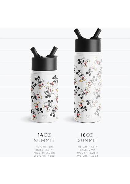 Çocuklar Için Hasır Kapaklı Su Şişesi Yeniden Kullanılabilir Yalıtımlı Paslanmaz Çelik Bardak Kızlar Için, Okul 14 Oz Gökkuşağı Prenses (Yurt Dışından) fırsatları