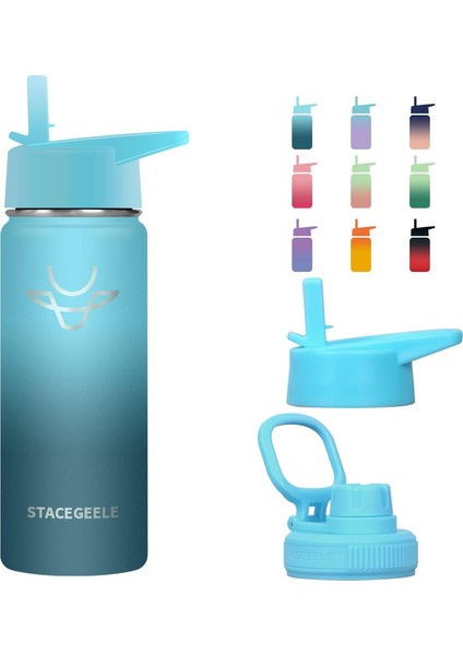 ，çocuk Yalıtımlı Vakumlu Su Şişesi Hasır Kapaklı Paslanmaz Çelik Su Şişesi Erkekler ve Kızlar Için Sızdırmaz Hafif Çevre Dostu (550ML) (Yurt Dışından) fiyatları