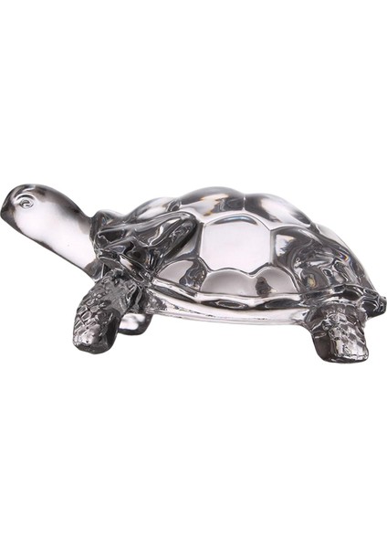 Kaplumbağa Figür Koleksiyonu Cam Üstü I Dekorasyon Ev Kitaplı (Yurt Dışından) modelleri