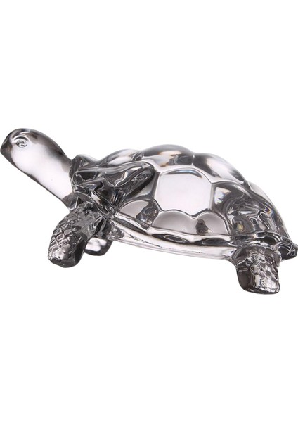Kaplumbağa Figür Koleksiyonu Cam Üstü I Dekorasyon Ev Kitaplı (Yurt Dışından) fırsatları