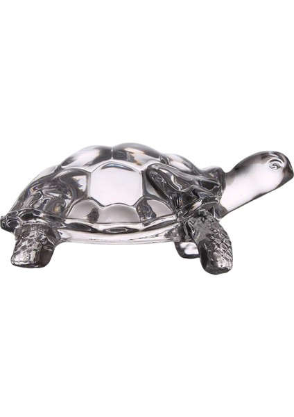 Kaplumbağa Figür Koleksiyonu Cam Üstü I Dekorasyon Ev Kitaplı (Yurt Dışından) indirimleri