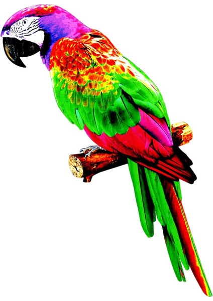 Papağ Figürleri Kuş Heykel Ev Süsleme B (Yurt Dışından) fırsatları