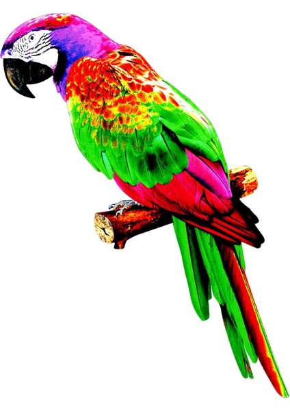 Papağ Figürleri Kuş Heykel Ev Süsleme B (Yurt Dışından) indirimleri